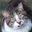 ryunix